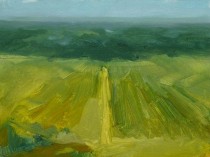 Field Study