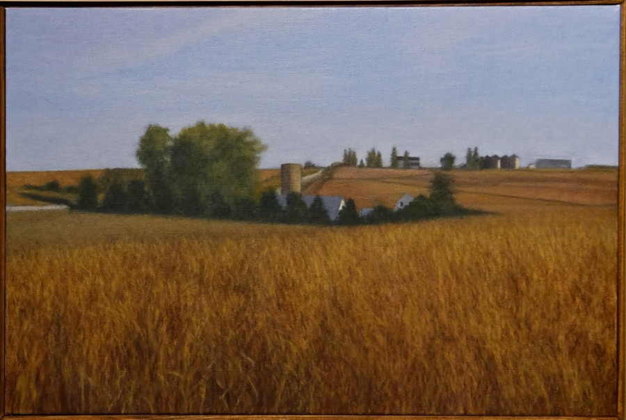 Island in The Corn 16 x 24