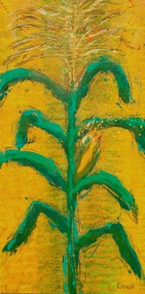 &nbsp;
