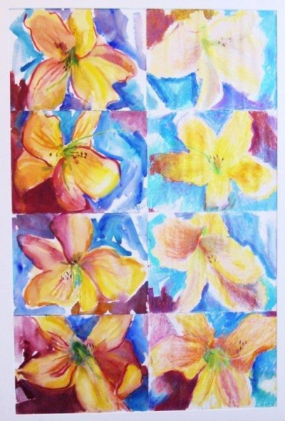 Eight Day Lilies