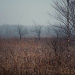 Princeton Marsh - 3/23/22 9:12 AM