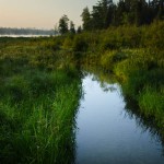 Headwaters - 7/31/23 7:16 AM