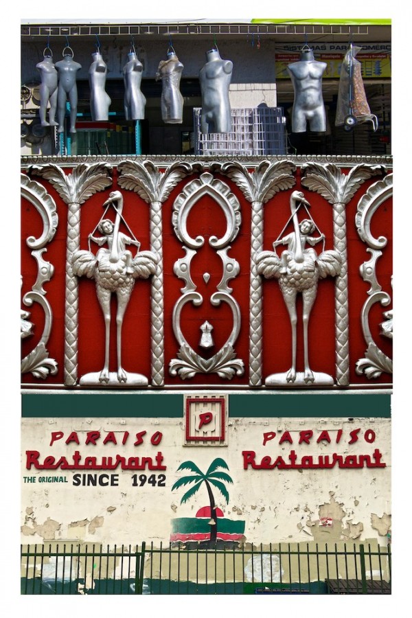 Paradise