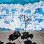 still life with some branches