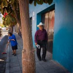 Árbol de la calle y domingo por la mañana