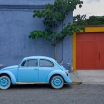 Vocho azul y árbol completo