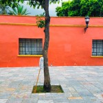 Encierro Oaxaca